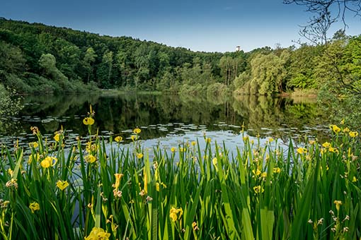 Rübezahl Berlin - Ausflüge Wundervolle Wälder und See - Ausflugsziele Köpenick