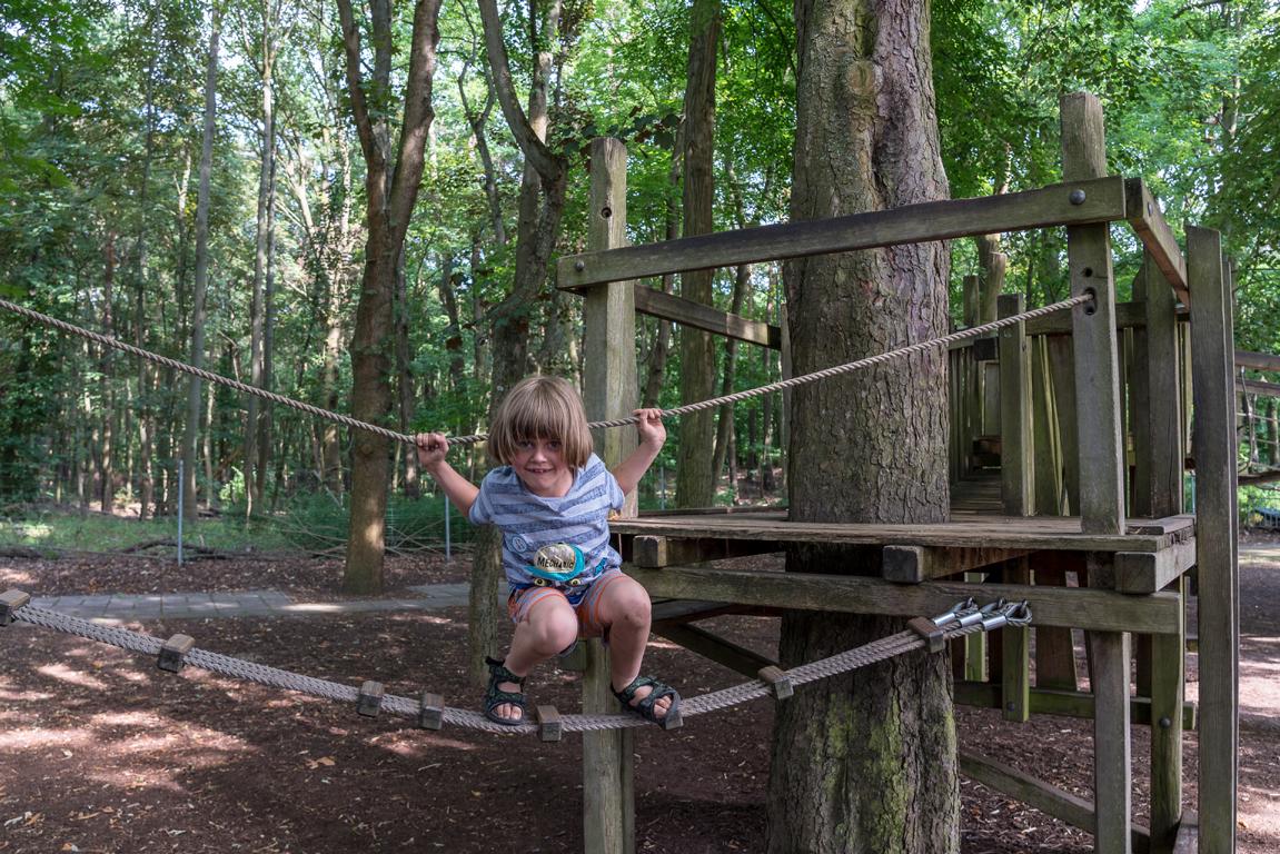 Am Müggelsee: Ein Überblick der Spielplätze Kinder und Freizeit am Müggelsee: Spielplätze im Überblick