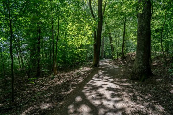 Treptow-Köpenick: Parks, Landschaftsgärten und Grünanlagen